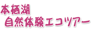 本栖湖自然体験エコツアー