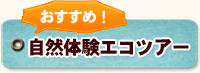 おすすめ体験エコツアー